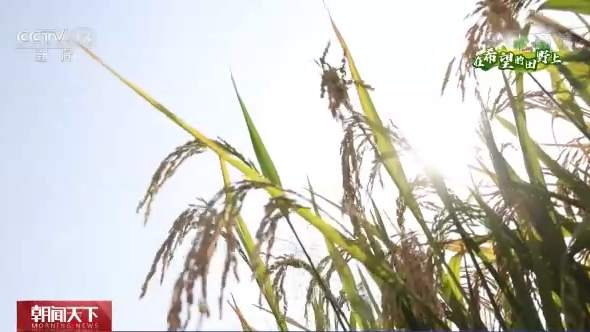 圖片11.png 圖片11.png