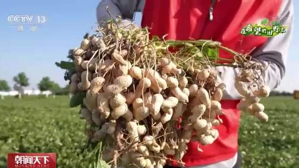 圖片14.png 圖片14.png