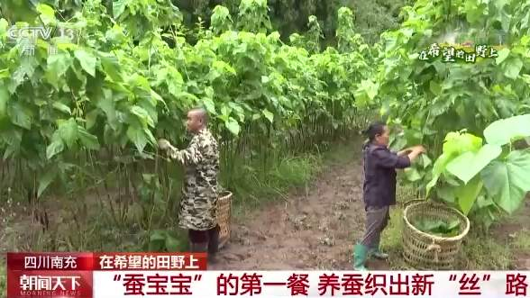 圖片16.png 圖片16.png