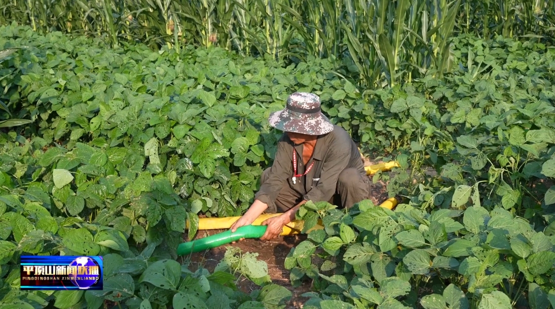 VeryCapture_20250805163040.jpg VeryCapture_20250805163040.jpg